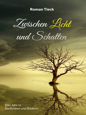 cover image of Zwischen Licht und Schatten